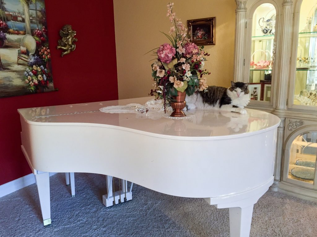 What is the best way for moving your piano safely? Hiring a professional moving company is one of the best solutions!