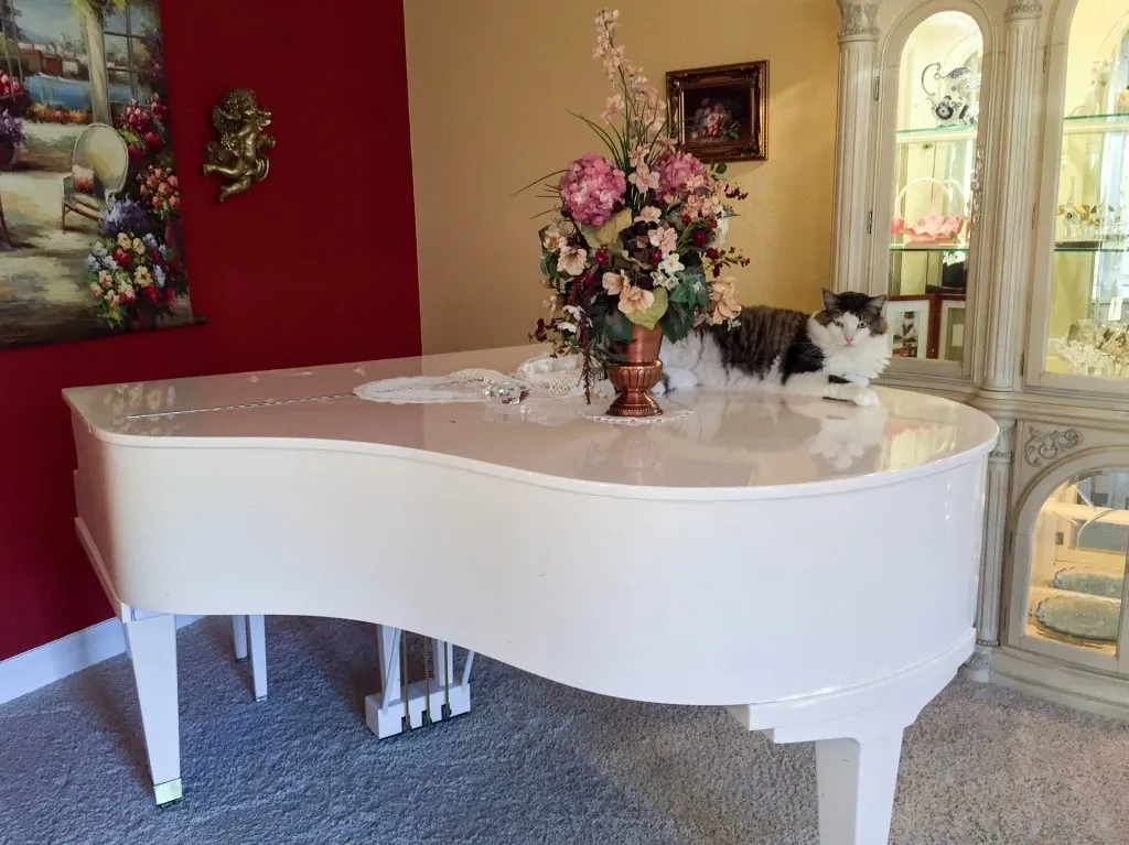What is the best way for moving your piano safely? Hiring a professional moving company is one of the best solutions!