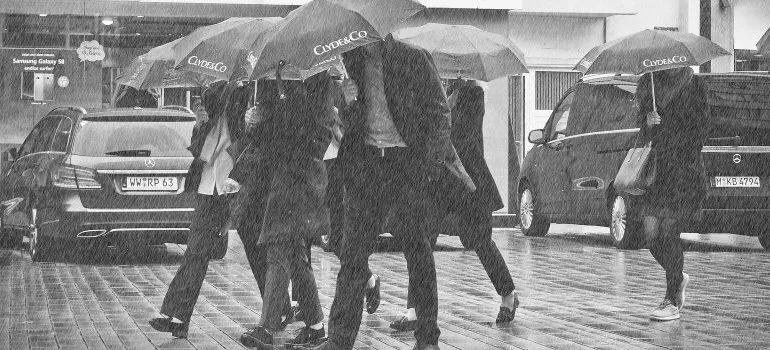 rain