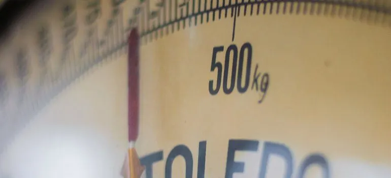 Scales close up.