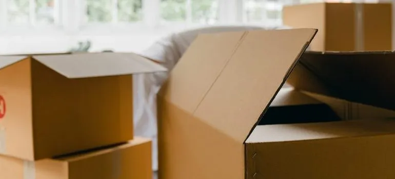 boxes