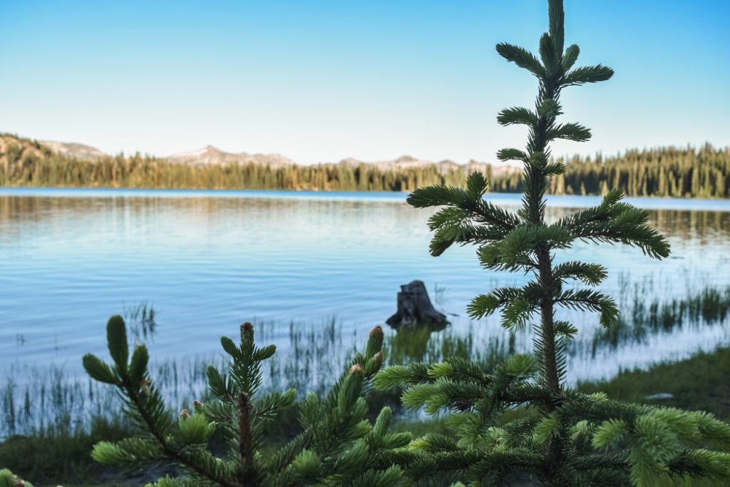 Idaho landscape.