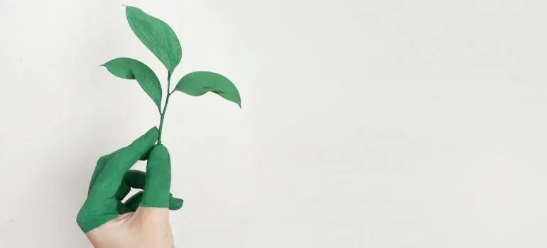Hand holding a green leaf to present that one of advantages of sea cargo is sustainability