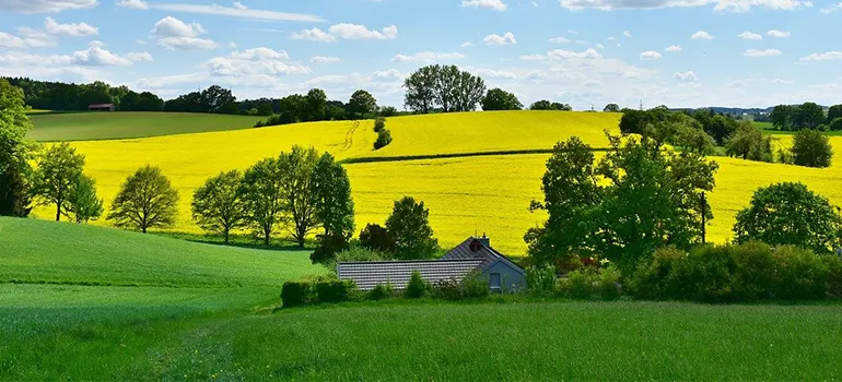 green fields and a house
