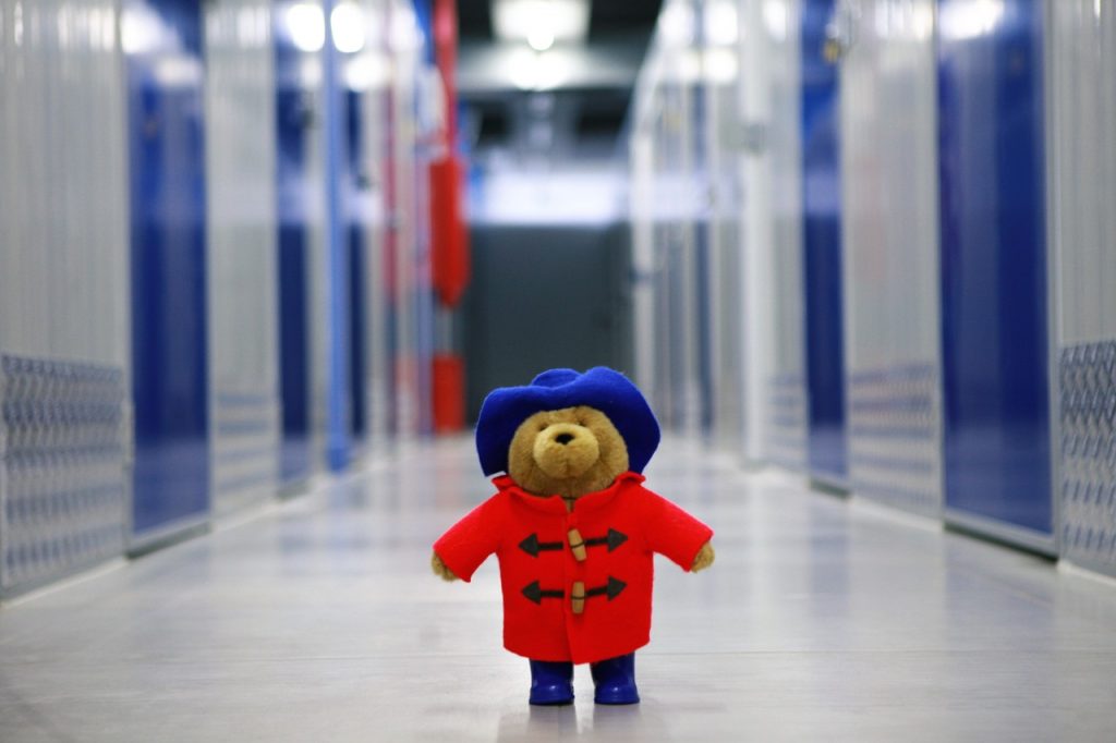 a teddy bear thinking about a storage rental agreement