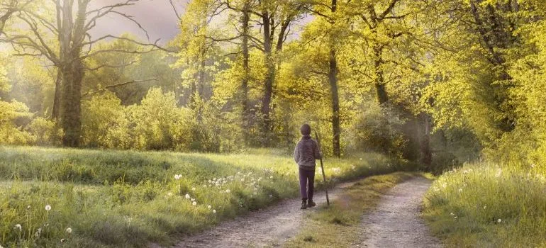 man-walking-in-the-forest