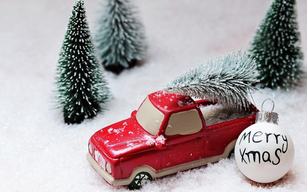 A red model car and fir trees.