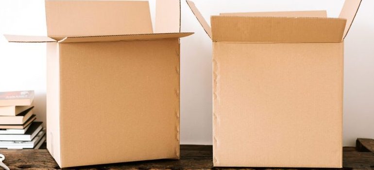 two moving, cardboard boxes