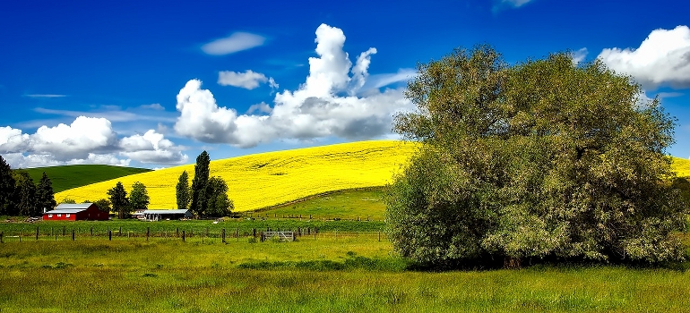 a farm in idaho