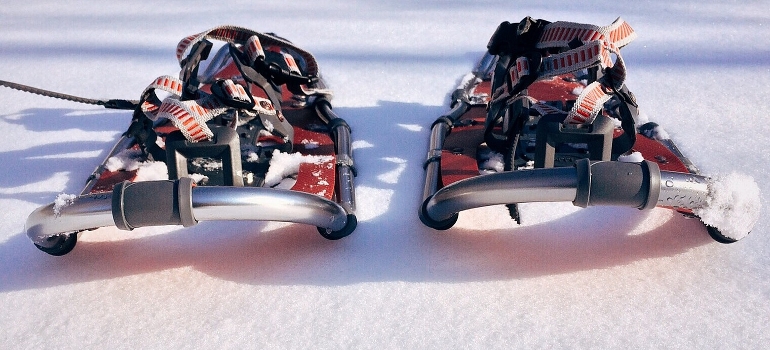 a pair of snowshoes