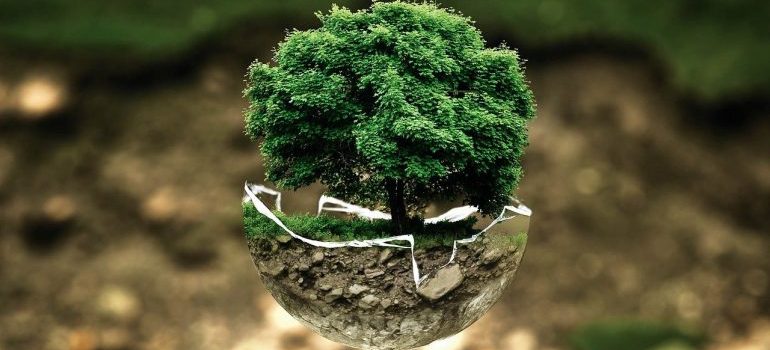 A tree going out of a surface.