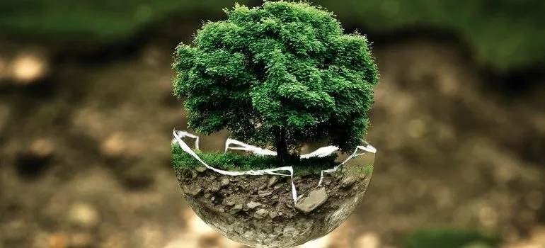 A tree going out of a surface.