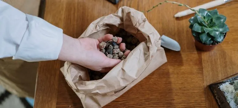 Person removing rocks before moving your pet terrarium