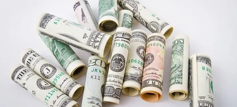 Rolled up dollar bills.