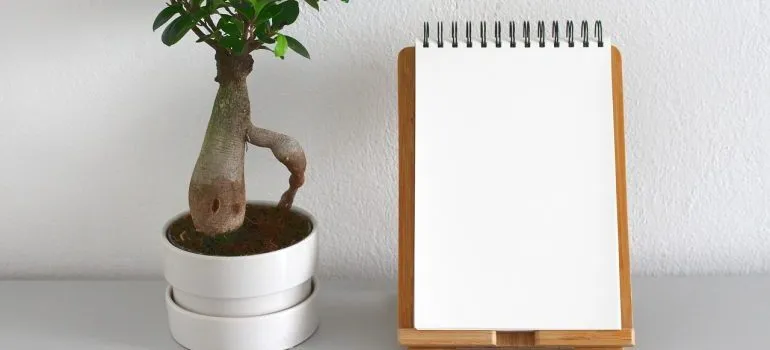 A plant next to a notepad.