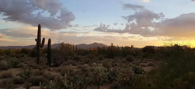 A desert in Arizona.
