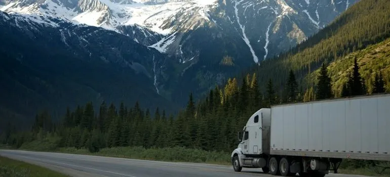 White truck driving beside pines.
