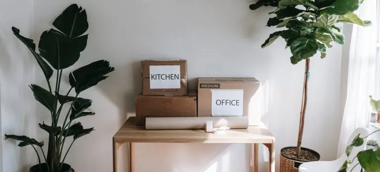 Labeled moving boxes