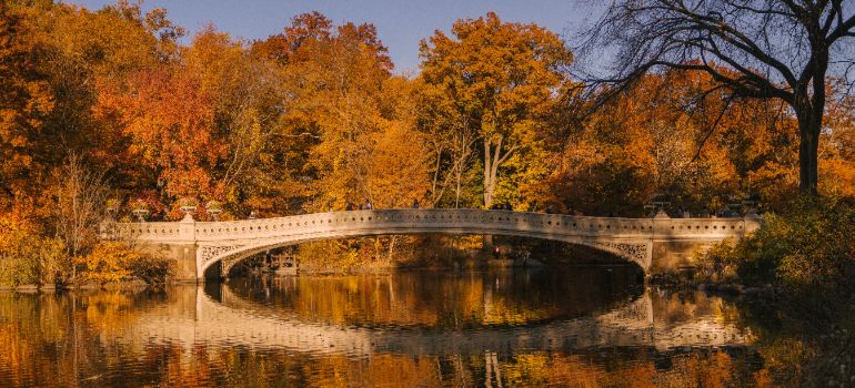 bridge spanning over a lake in autumn