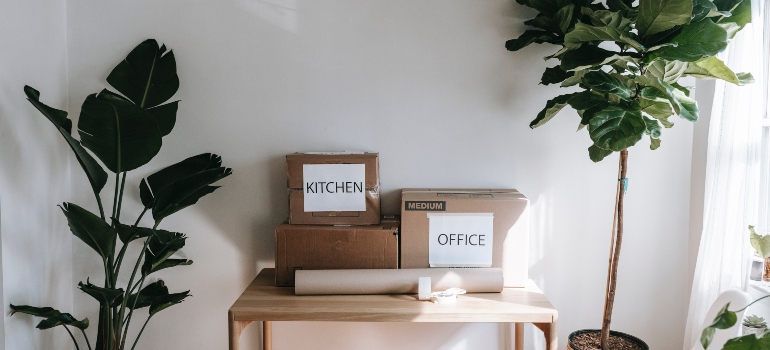 boxes on the table