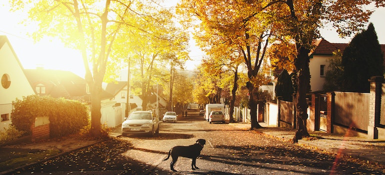 suburban neighborhood