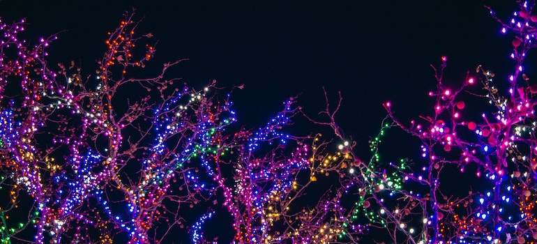 Christmas lights in Boise