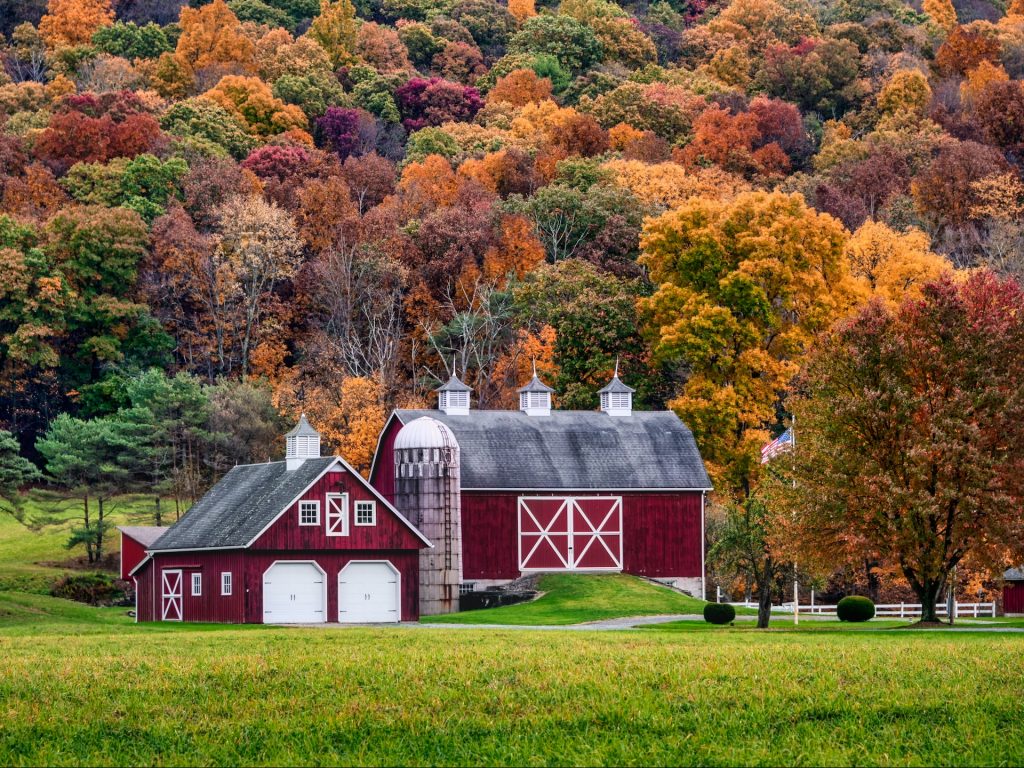 Colorful trees around a red barn