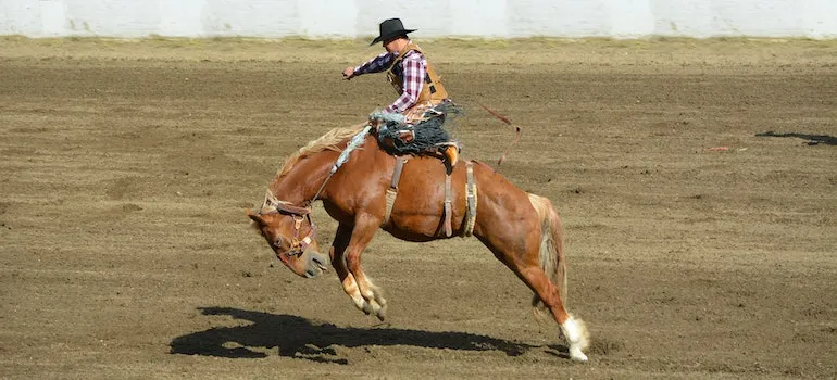 a cowboy on a bucking horse