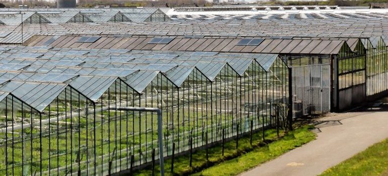 greenhouse as one of the possible solutions for Idaho agricultural businesses