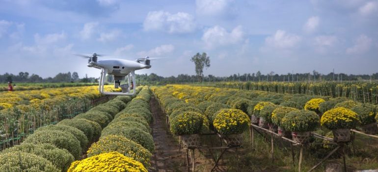 a drone as one of the solutions for Idaho agricultural businesses