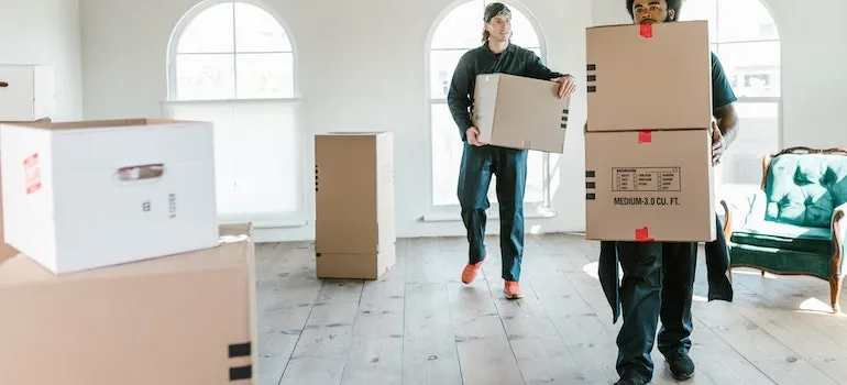 Two movers carrying boxes after providing moving advice for people with disabilities