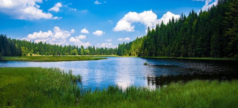 A green area around a lake