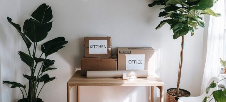 Boxes marked