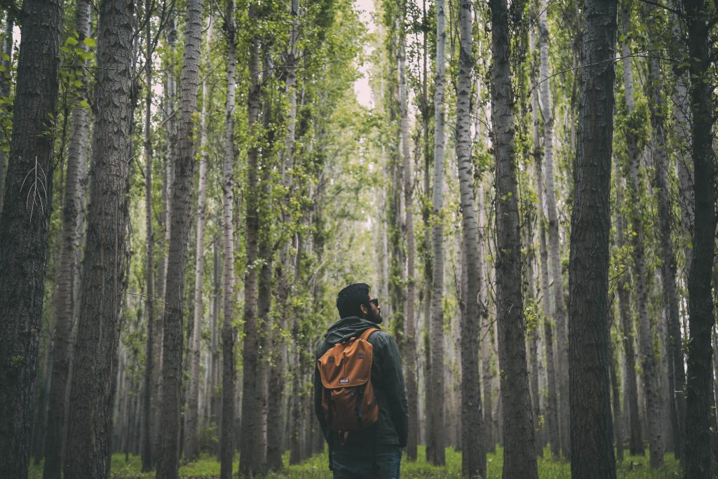 Man in the woods with a backpack following a hiker's guide to the Boise Area