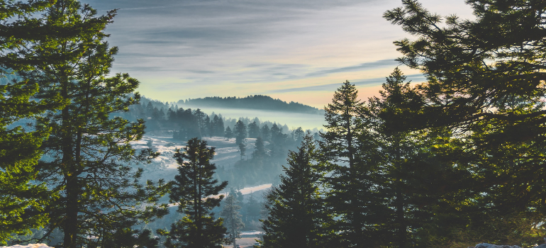 picture of a misty valley