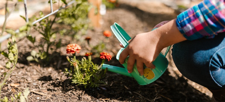 Person Holding a Green Can watering a flower
