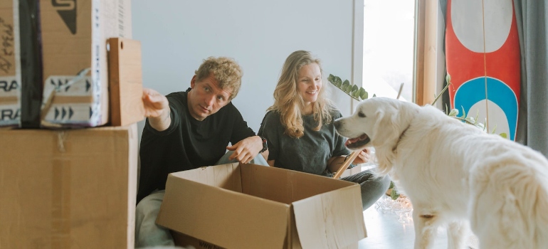 Man and Woman with a dog are packing Items in Carton Boxes