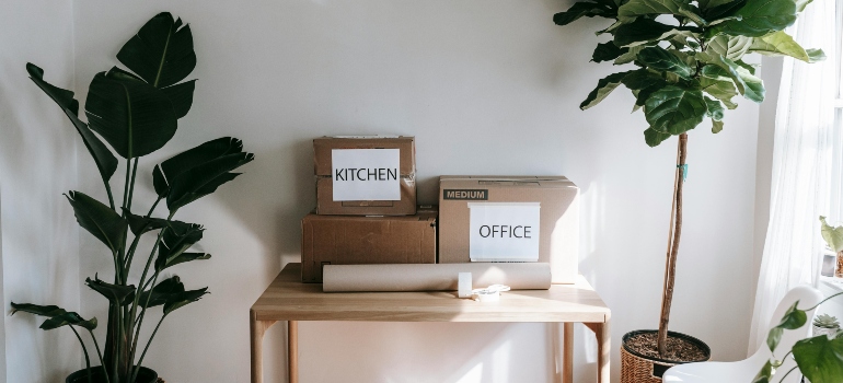 Plants and labeled cardboard Boxes on Wooden Table