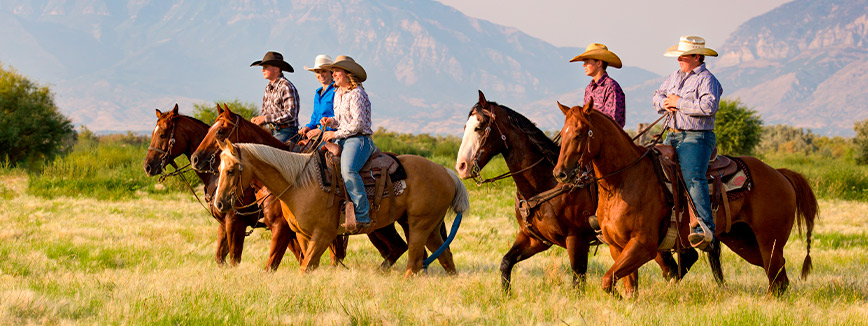 Several individuals on horseback enjoying a sunny day in a lush field, highlighting outdoor activities and camaraderie.