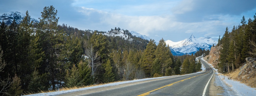 Long straight road leads through the woods of northern Wyoming outside Yellowstone.